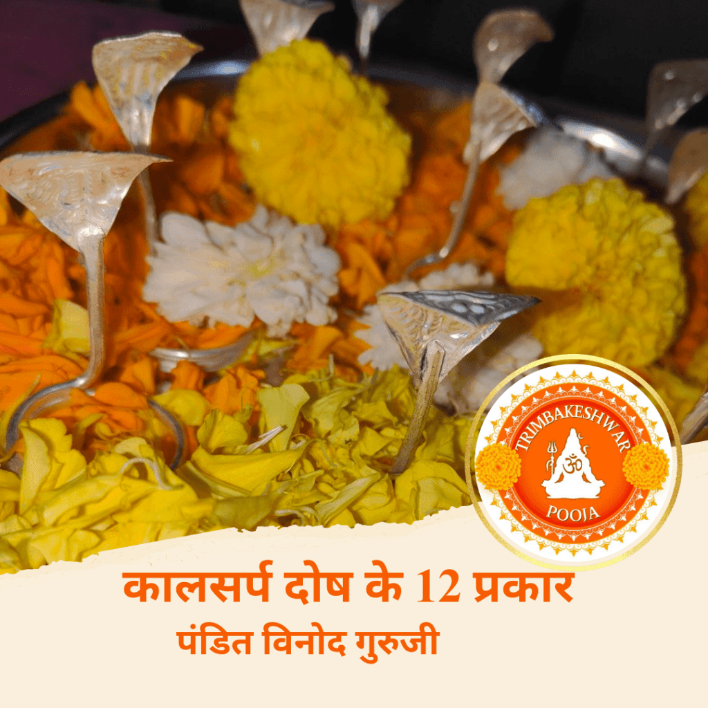 कालसर्प दोष के 12 प्रकार और उनके प्रभाव