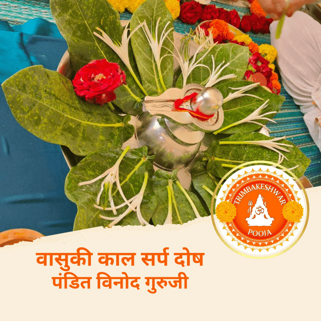 वासुकी काल सर्प दोष