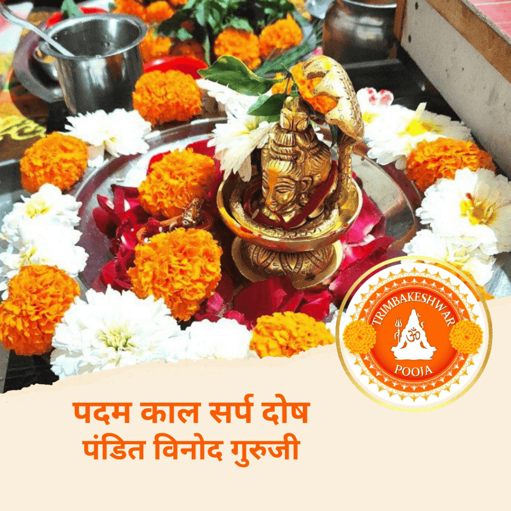 पदम काल सर्प दोष