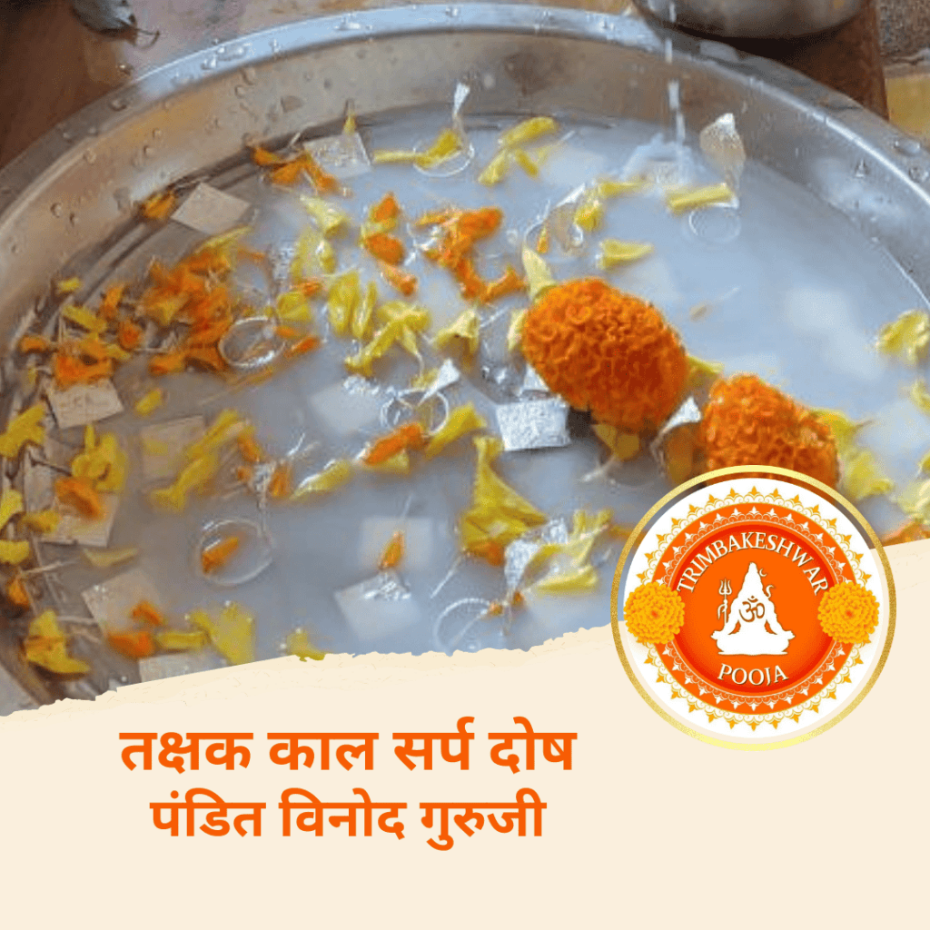 तक्षक काल सर्प दोष