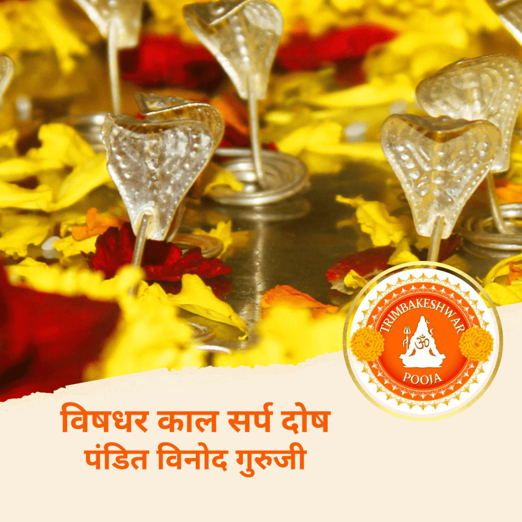 विषधरकाल सर्प दोष