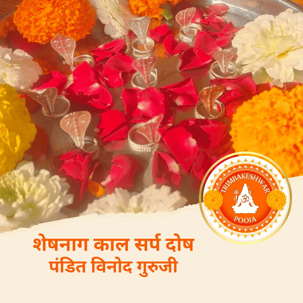 शेषनाग काल सर्प दोष