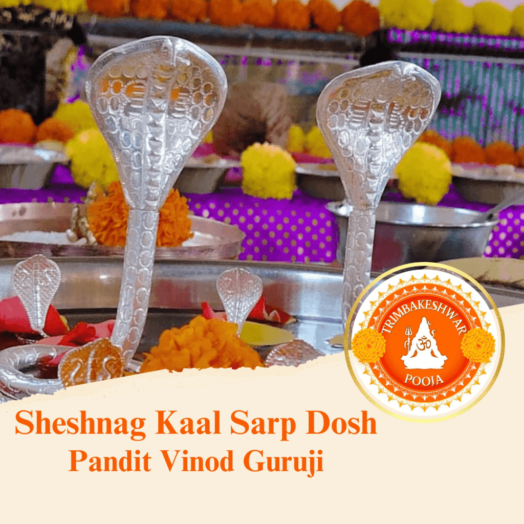 Sheshnag Kaal Sarp Dosh