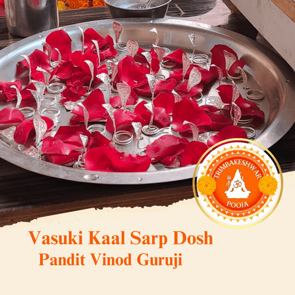 Vasuki Kaal Sarp Dosh