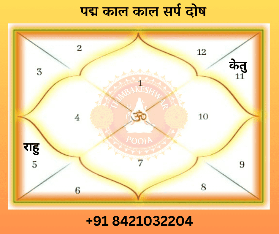 पदम काल सर्प दोष चार्ट या कुंडली
