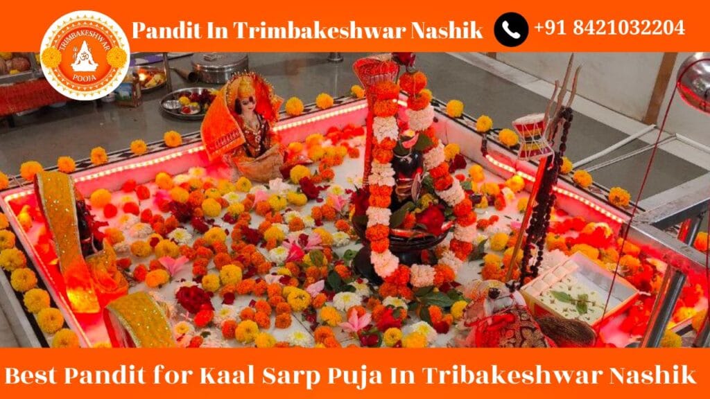 Best Pandit for Kaal Sarp Dosh Puja Pandit Vinod Shastri Guruji