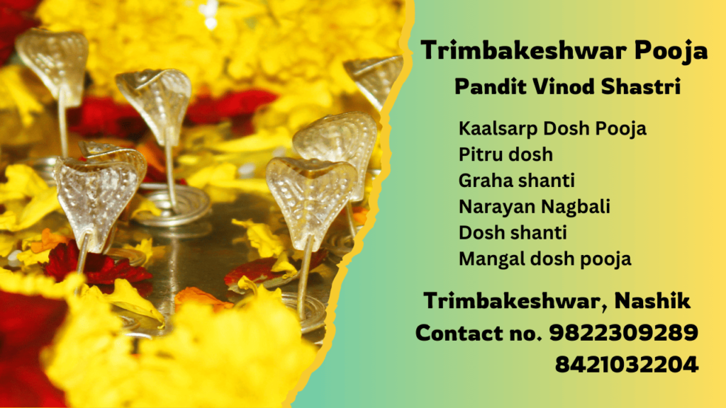 Kaal Sarp Dosh Puja NRI services