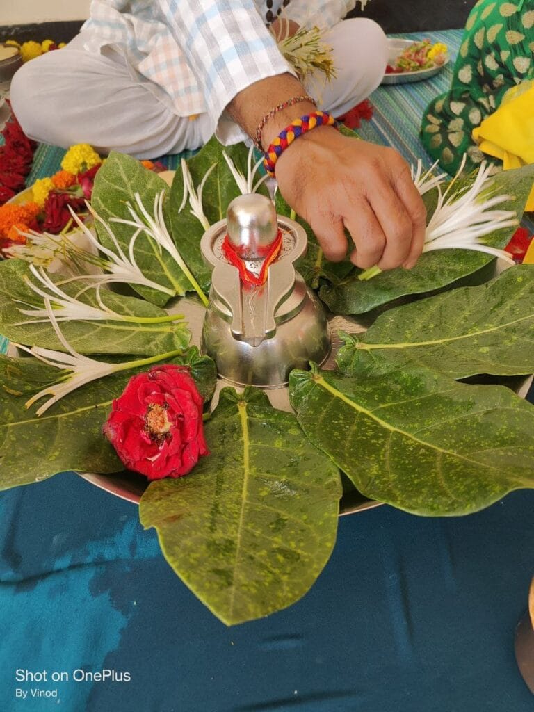 Kaal Sarp Dosh Puja Pandit in Trimbakeshwar Nashik
