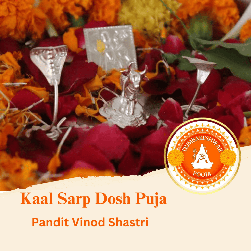 Kaal Sarp Dosh Puja in Trimbakeshwar