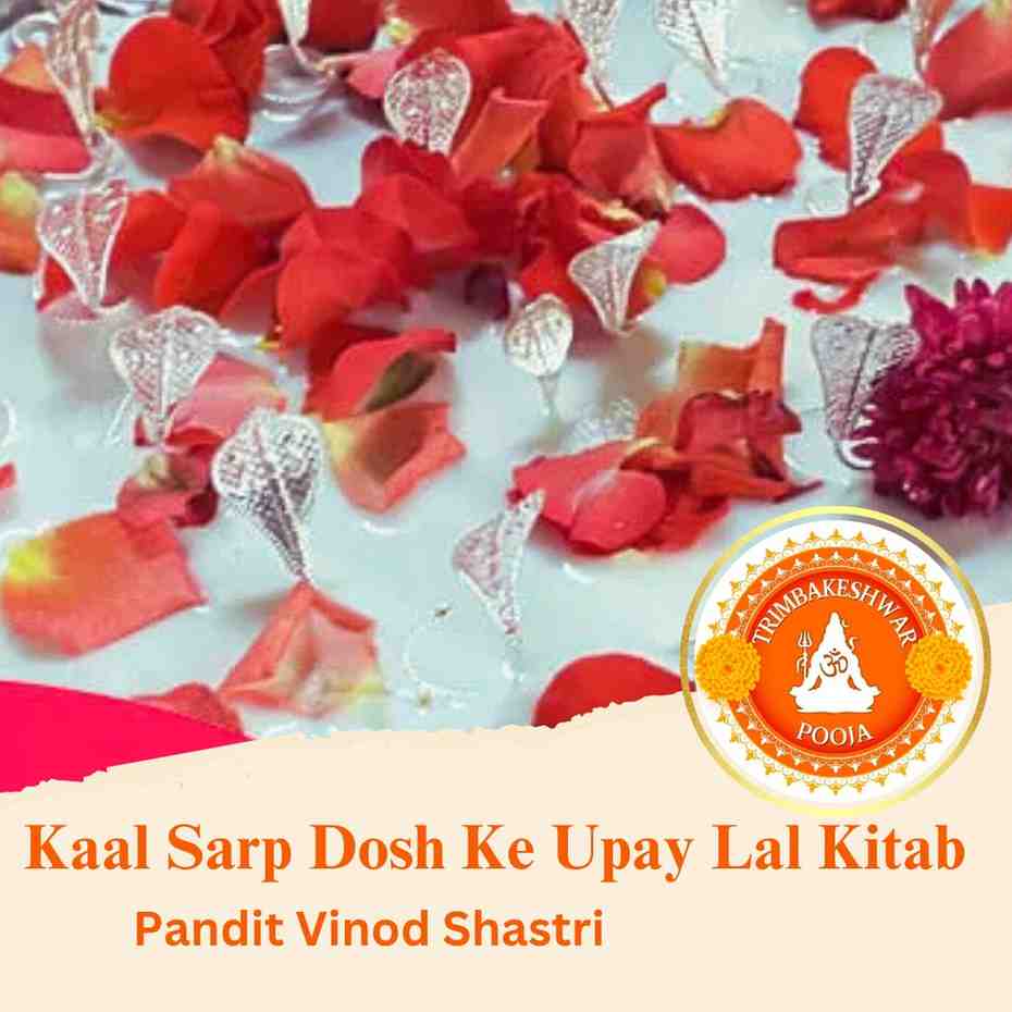 Kaal Sarp Dosh ke Upay Lal Kitab