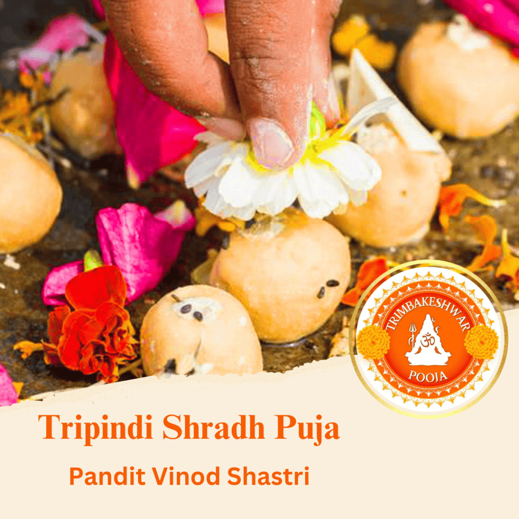 Tripindi Shraddh Puja