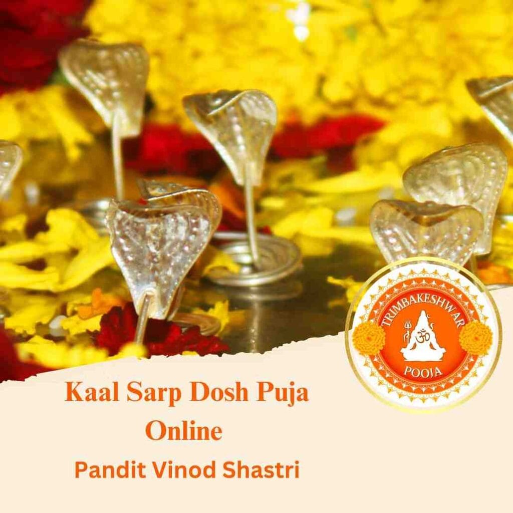 Online-Kaal-Sarp-Dosh-Puja-Trimbakeshwar-Temple
