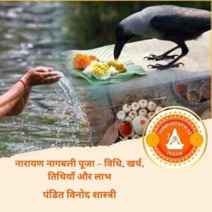 नारायण बलि पूजा - विधि, खर्च, तिथियाँ और लाभ त्र्यंबकेश्वर मंदिर