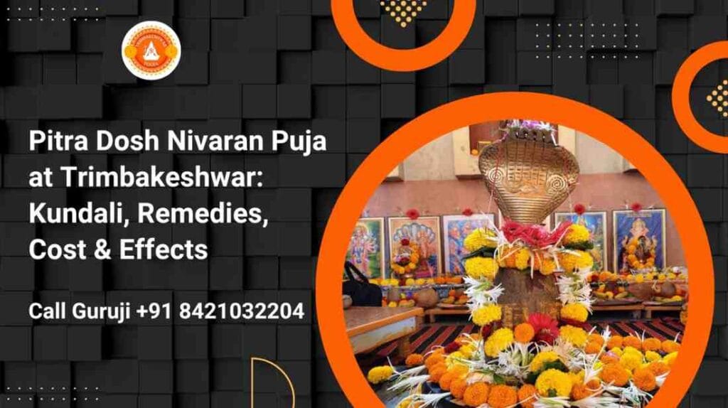 Pitra Dosh Nivaran Puja at Trimbakeshwar - Kundali, Remedies , Cost and Effects