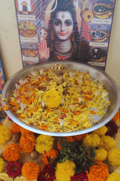 Kaal Sarp Dosh Puja in Trimbakeshwar by Pandit Vinod Shastri Guruji