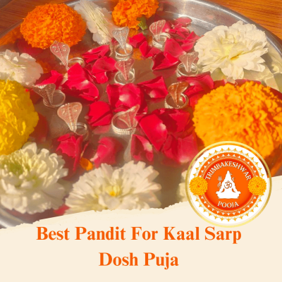 Kaal Sarp Pooja at Trimbakeshwar Kaal Sarp Dosh Puja